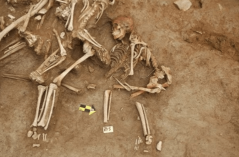 miniature vidéo 1 copy