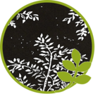 Partie 4 - Conclusion.png copy